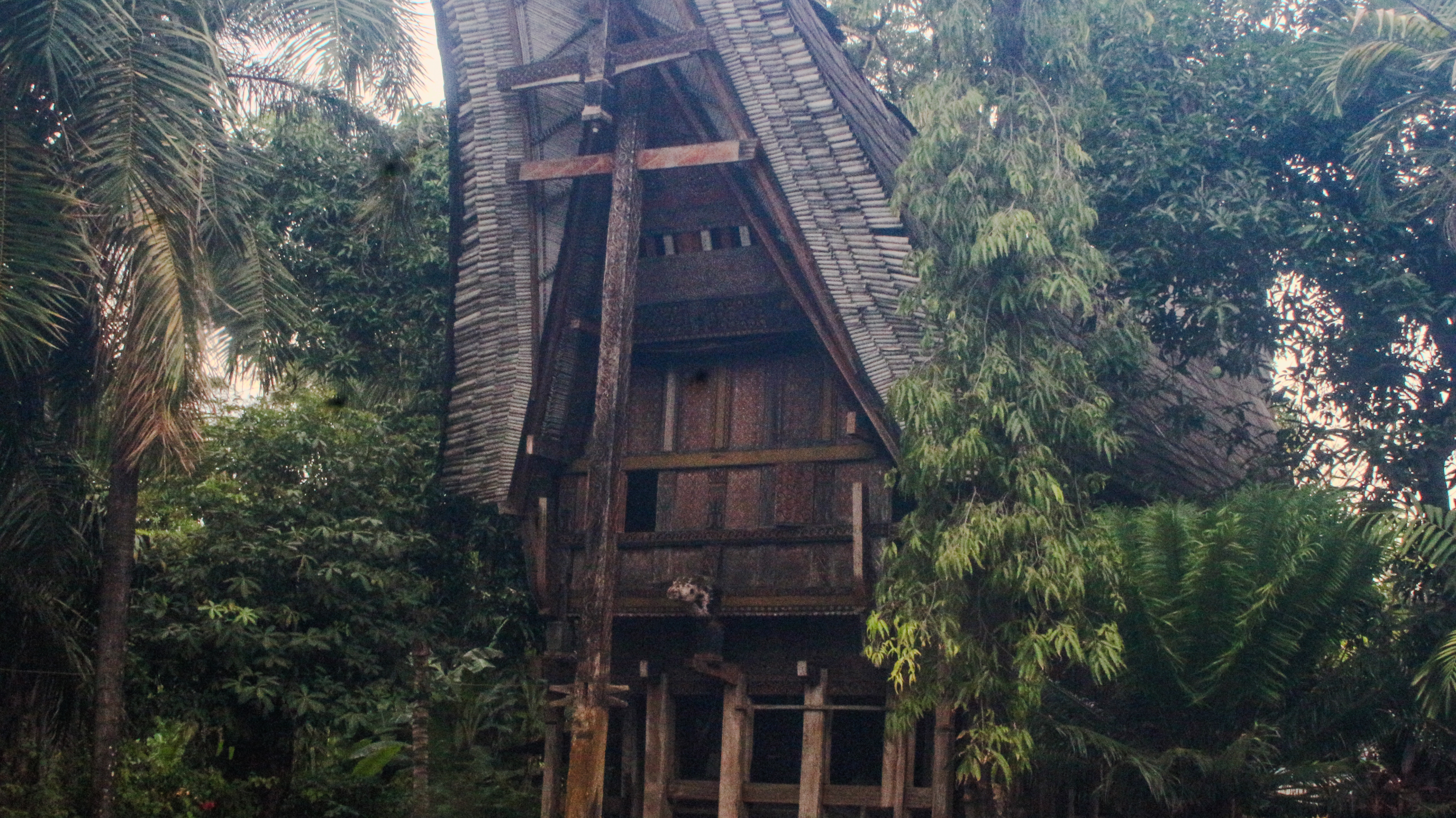 Rumah Adat Toraja